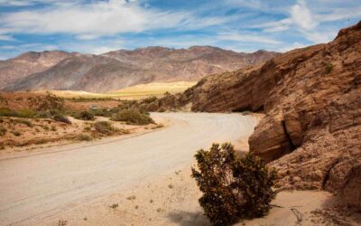 Historical Overdraft of the Borrego Aquifer